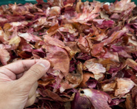Quem diria que aquilo que a gente joga fora é o segredo para comida mais gostosa?