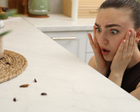 Está aparecendo barata na sua casa por causa do calor? Veja como capturá-las na sua cozinha usando um pouco de vaselina, uma armadilha caseira e eficaz