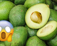 É isso que acontece com o seu corpo quando você come abacate todos os dias