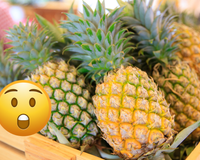 Sua vida foi uma mentira: o abacaxi é formado por até 200 frutas e isso explica o sabor azedo