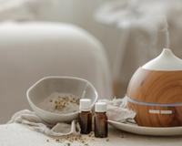 Adeus casa cheirosa: por que a ciência não aprova velas perfumadas e ambientadores em casa?