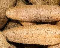 Como esponjas velhas e desgastadas podem se tornar tesouros para suas plantas