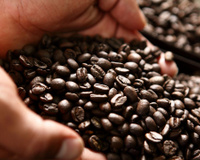 Com duas sacas de café, uma mula e nenhum centavo no bolso, brasileiro do sertão criou empresa que fatura mais de R$ 10 bilhões por ano