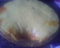 Escondidinho Cremoso da Jani