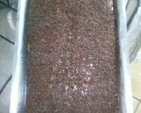 Bolo comum com cobertura de chocolate