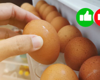 É isso que acontece com o colesterol se comer 12 ovos por semana, segundo a ciência