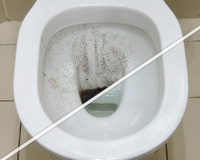 Privada limpa em poucos minutos: como remover calcário e sujeira facilmente com um produto que você nunca pensou