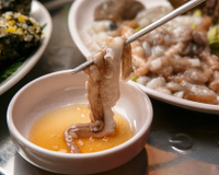 Animais consumidos vivos: conheça 8 iguarias