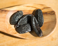 Cumaru: saiba mais sobre a baunilha brasileira