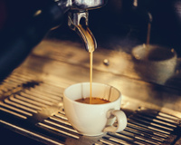 O segredo do expresso perfeito revelado por cientistas: um giro pelo grão, torra, a hora certa de moer e temperatura da água no preparo