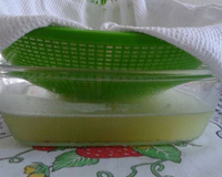 Iogurte grego caseiro