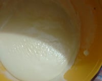 Leite Condensado de Leite em Pó