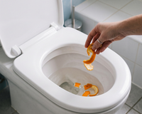Eu comecei a jogar cascas de laranja no vaso sanitário uma vez por semana depois que descobri esta dica no TudoGostoso