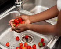 Esses dois ingredientes podem ser inimigos na hora de lavar os alimentos: essa é a explicação e como fazer a higienização do jeito certo
