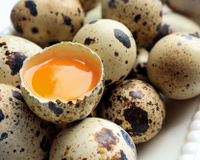 Pode comer ovo de codorna cru? O TudoGostoso responde essa dúvida!