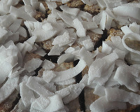 Bolo de aipim sem glúten e sem lactose