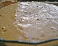 Baba de camelo irresistível