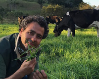 Da novela ao campo: o império orgânico de um ator famoso tem gado solto, queijo premiado e até café e chocolate