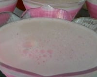 Gelatina com iogurte light