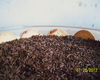 Torta de bolacha de chocolate