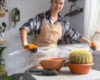Se você tiver plástico bolha em casa, não estoure: é um tesouro para suas plantas, segredo dos jardineiros é revelado