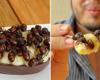 Ovo de Páscoa de tanajura? Influencer faz combinação ousada e viraliza nas redes sociais