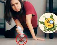 Adeus baratas: aprenda o truque das ervas que mantém esses insetos odiados bem longe