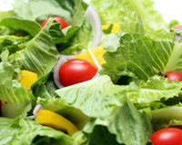 10 receitas com acelga: confira deliciosas opções