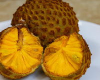 Brasil tem um "fruto do céu" que lembra banana com abacaxi que promete ser o queridinho da alimentação saudável em 2026