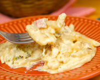 Macarrão ao leite gratinado