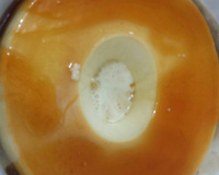 Pudim de leite condensado que não vai no forno