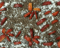 Sobremesa chococreme com morango