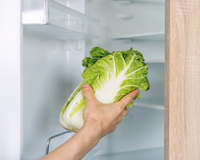 Você sabia que a alface pode durar até 2 meses na geladeira? Truque para conservar do jeito certo é simples