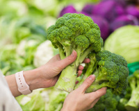 Nunca mais comprei vegetais errado depois que aprendi com a Paola Carosella a escolher e higienizar