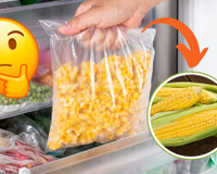 Quantos dias o milho cozido pode ficar na geladeira? Armazene da forma correta com essas dicas!