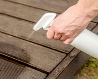 Adeus formigas: essa é a solução para resolver esse problema com ingredientes simples do armário