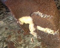 Bolo de chocolate sem farinha de trigo