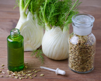 Funcho e erva-doce é a mesma coisa? Saiba tudo sobre essa planta medicinal