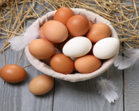 Só descobri isso aos 60 anos: quase ninguém sabe a diferença entre ovos brancos e marrons