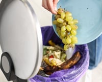 Larvas na lata de lixo da cozinha? Truque do TudoGostoso com apenas 2 ingredientes resolve o problema em minutos