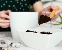 Borra de café nas plantas: 5 plantinhas que amam esse adubo e crescem muito rápido