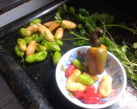 Molho de pimenta-de-cheiro