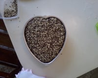 Bolo de chocolate de liquidificador