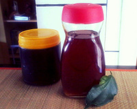 Xarope Caseiro de Guaco & Mel para a Tosse