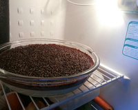 Sobremesa prestígio prática