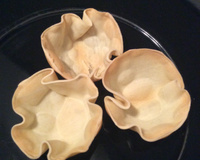 Cestinha com massa de pastel