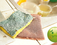 Esse é o tempo certo para trocar a sua esponja de lavar louça; aprenda também como higienizar o utensílio