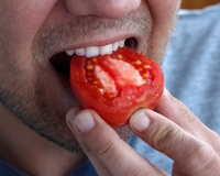 Ela criou um tomate com sabor de hambúrguer com a ajuda de inteligência artificial: a jovem de 17 anos já obteve a patente nos Estados Unidos