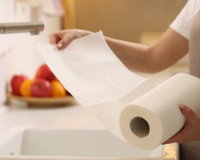 É o fim do papel-toalha? esse é o novo substituto ecológico que limpa tudo e ajuda a economizar