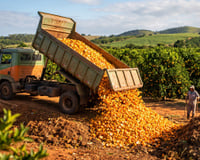 Em 1997, eles cobriram uma paisagem árida na Costa Rica com 12 mil toneladas de cascas de laranja. Dezesseis anos depois, ninguém reconhecia a paisagem
